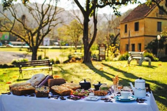 Festa do Café, Cuca e Linguiça + Lavandas de Morro Reuter - Foto 1