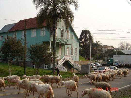 Manta e Vinho - Foto 11