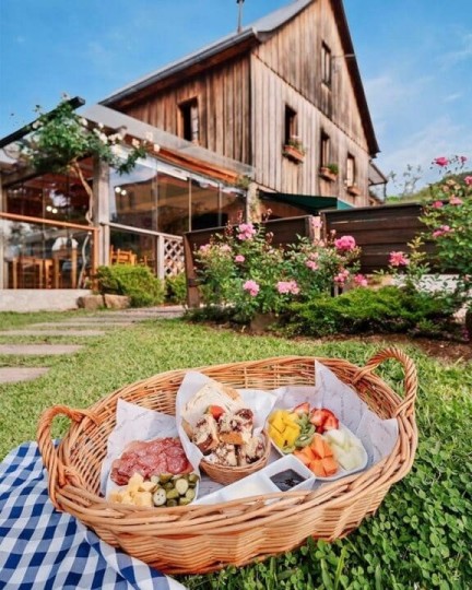 Manta e Vinho - Foto 20