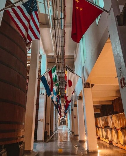 Manta e Vinho - Foto 13