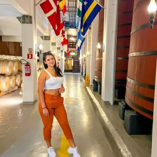 Manta e Vinho - Foto 14