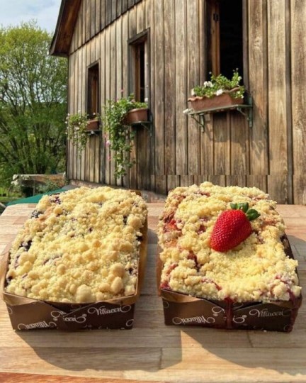 Manta e Vinho - Foto 15