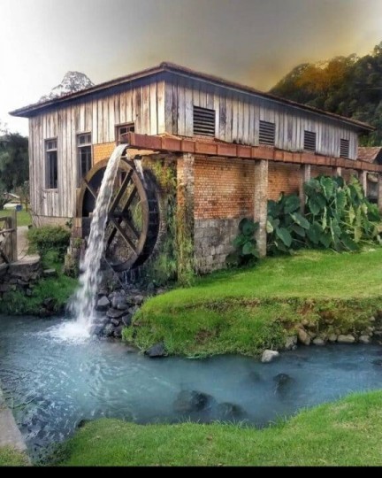 Manta e Vinho - Foto 7