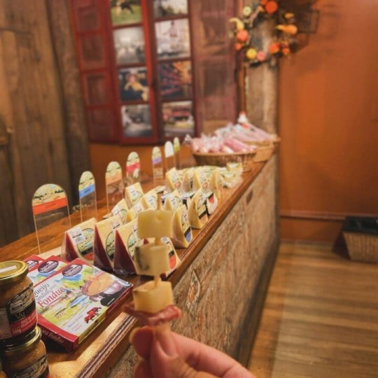 Manta e Vinho - Foto 17