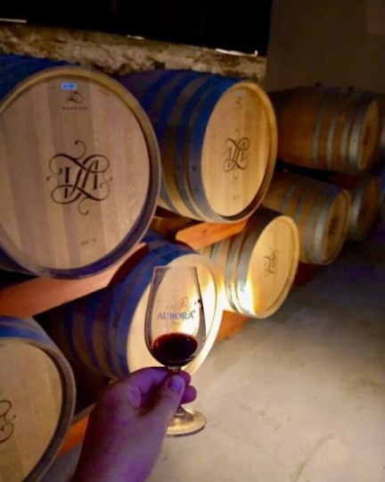 Manta e Vinho - Foto 19