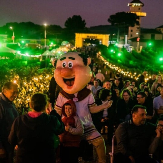 Natal nos Vinhedos - Foto 19