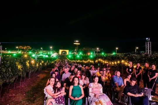 Natal nos Vinhedos - Foto 9