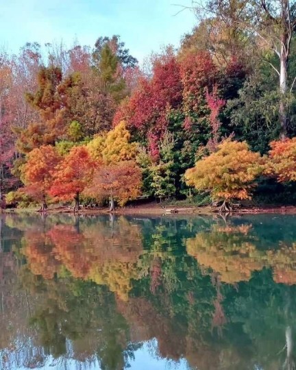 Termas Romanas e Parque Witeck - Foto 20