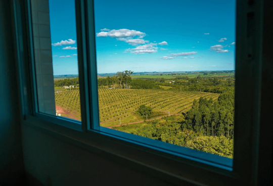 Termas Romanas e Parque Witeck - Foto 32