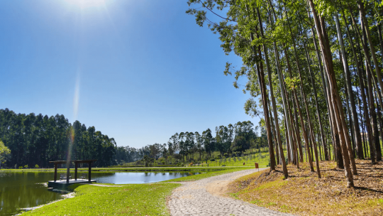 Termas Romanas e Parque Witeck - Foto 13