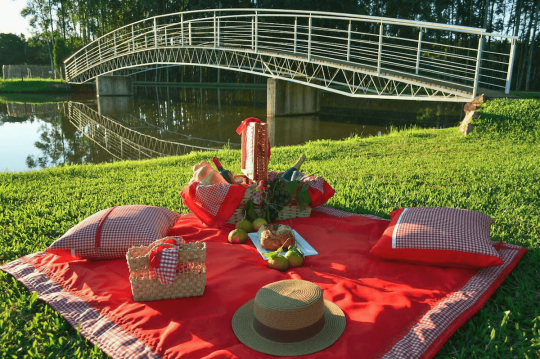 Termas Romanas e Parque Witeck - Foto 14