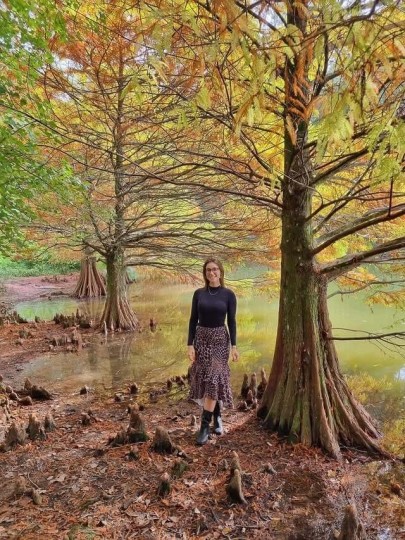 Termas Romanas e Parque Witeck - Foto 28