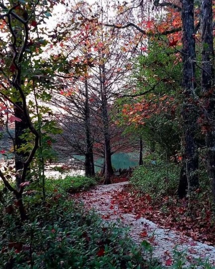 Termas Romanas e Parque Witeck - Foto 19