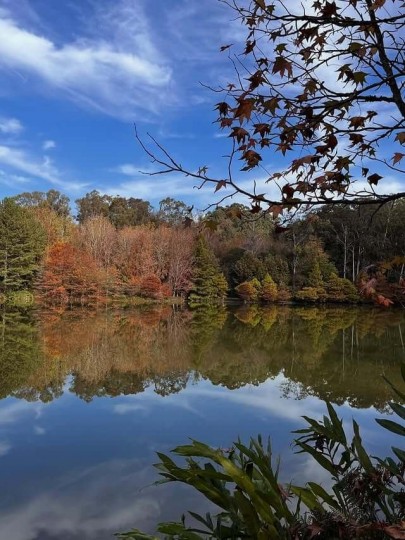 Termas Romanas e Parque Witeck - Foto 29