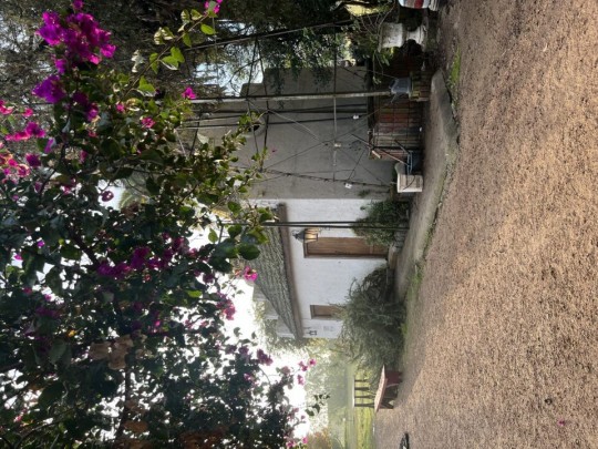 Winetur Uruguai - Corpus Christi - Foto 3