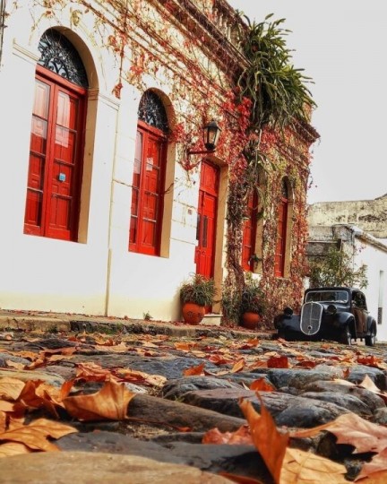 Winetur Uruguai - Corpus Christi - Foto 10