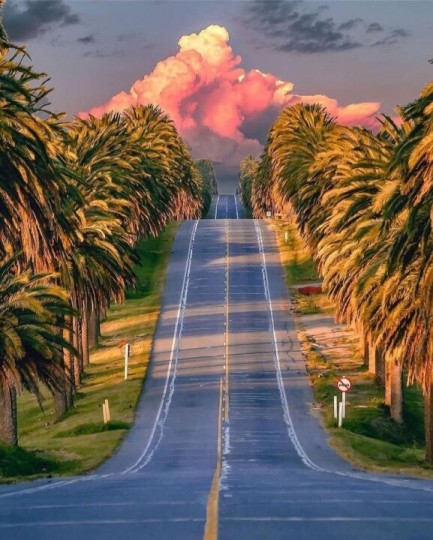 Winetur Uruguai - Corpus Christi - Foto 18