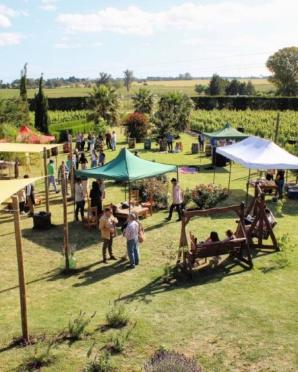 Winetur Uruguai - Corpus Christi - Foto 12