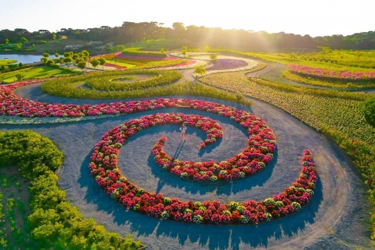 Mátria Parque de Flores e São Francisco de Paula - Cores de Outono - Foto 21