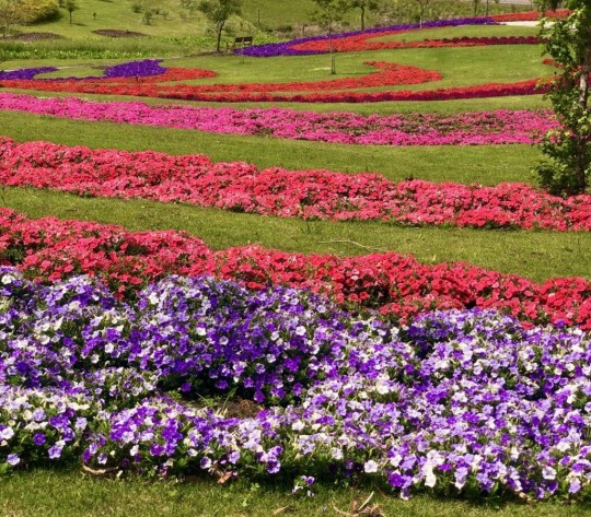 Mátria Parque de Flores e São Francisco de Paula - Cores de Outono - Foto 2