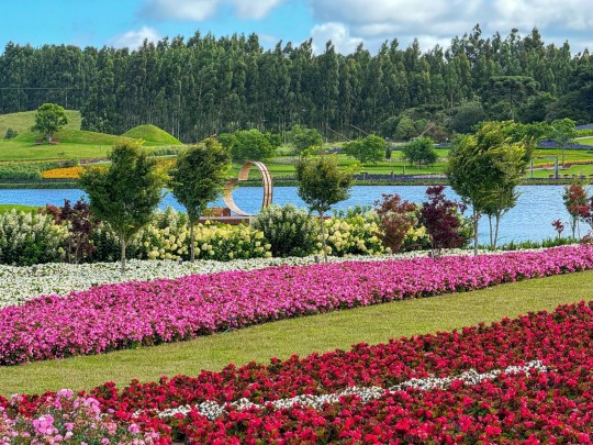 Mátria Parque de Flores e São Francisco de Paula - Cores de Outono - Foto 16