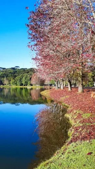 Mátria Parque de Flores e São Francisco de Paula - Cores de Outono - Foto 18