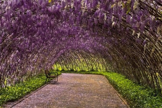 Mátria Parque de Flores e São Francisco de Paula - Cores de Outono - Foto 9