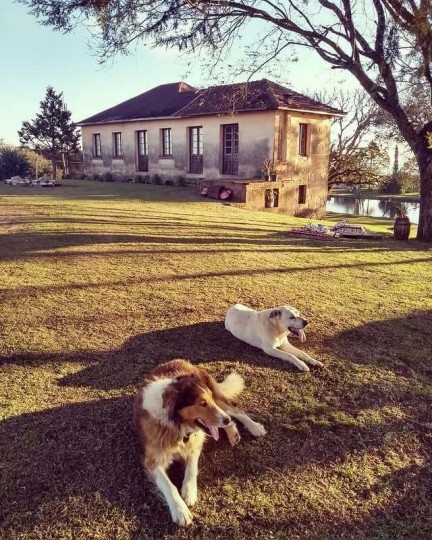 Lá Bella Serra - Monte Belo e Santa Tereza - Foto 7