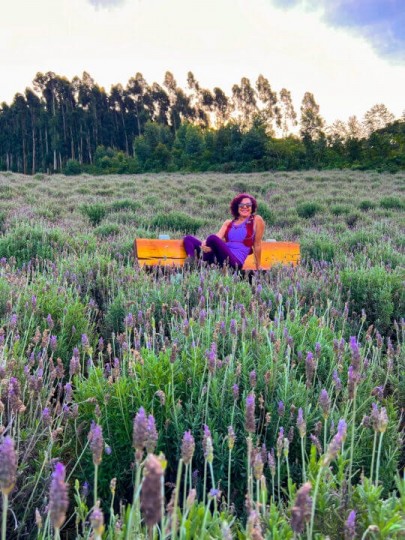 Lavandas de Morro Reuter - Festa Nacional da Lavanda - Foto 15