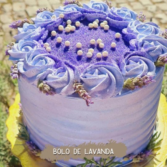 Lavandas de Morro Reuter - Festa Nacional da Lavanda - Foto 2