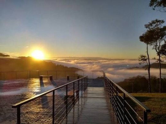Entardecer com Pizza, Vinho e Espumante - Foto 10