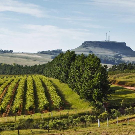 Trem do Pampa e Rivera - Foto 12