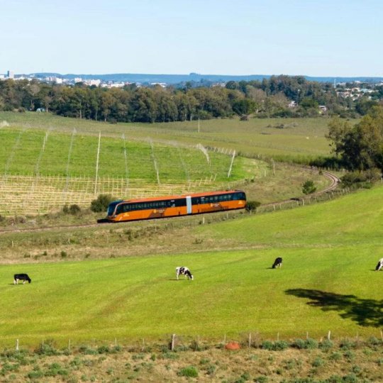 Trem do Pampa e Rivera - Foto 5
