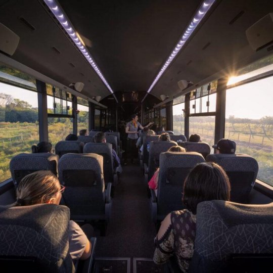 Trem do Pampa e Rivera - Foto 7