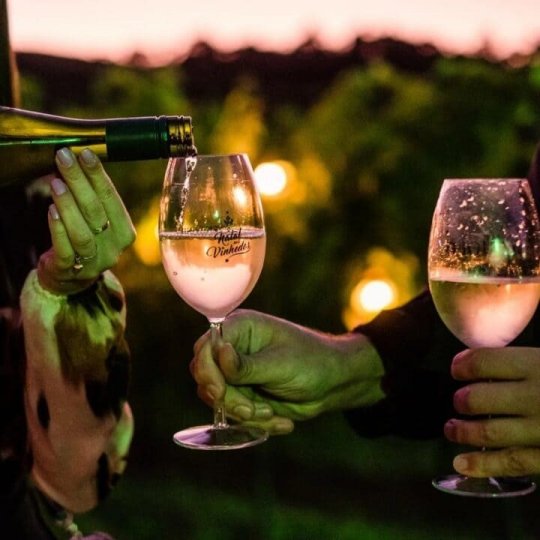 Natal nos Vinhedos - Foto 15