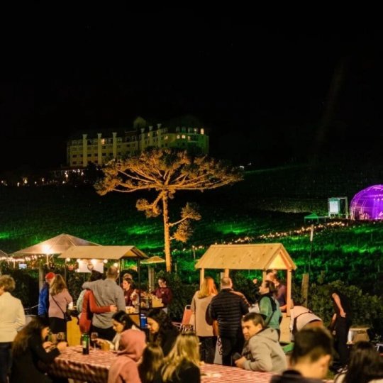 Natal nos Vinhedos - Foto 16