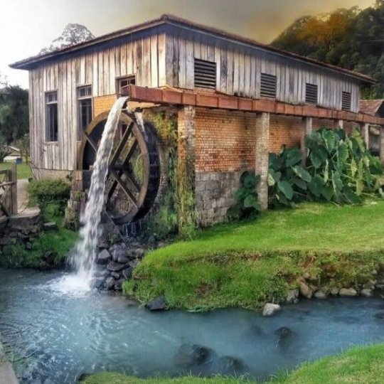 Natal nos Vinhedos - Foto 4