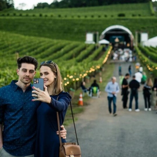 Natal nos Vinhedos - Foto 18