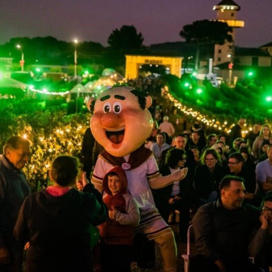 Natal nos Vinhedos - Foto 19