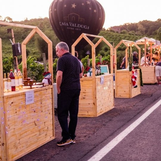 Natal nos Vinhedos - Foto 8