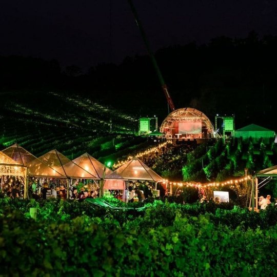 Natal nos Vinhedos - Foto 22