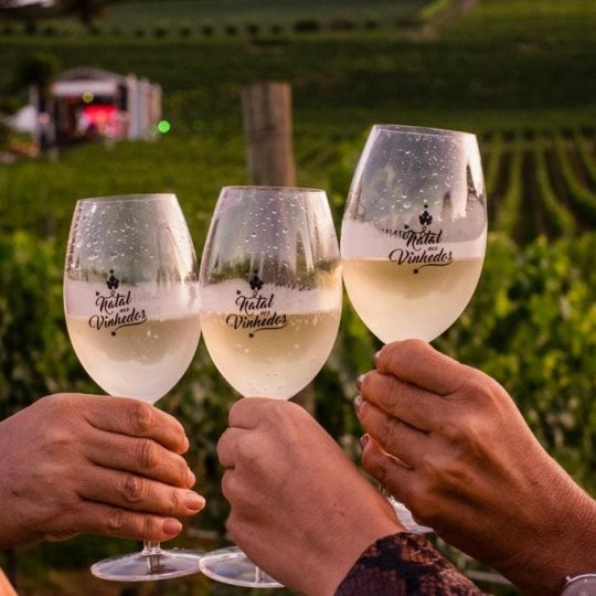 Natal nos Vinhedos - Foto 23