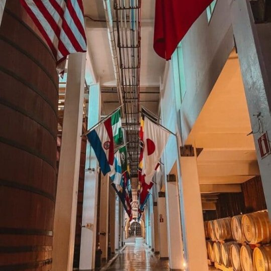 Natal nos Vinhedos - Bus 02 - Foto 10