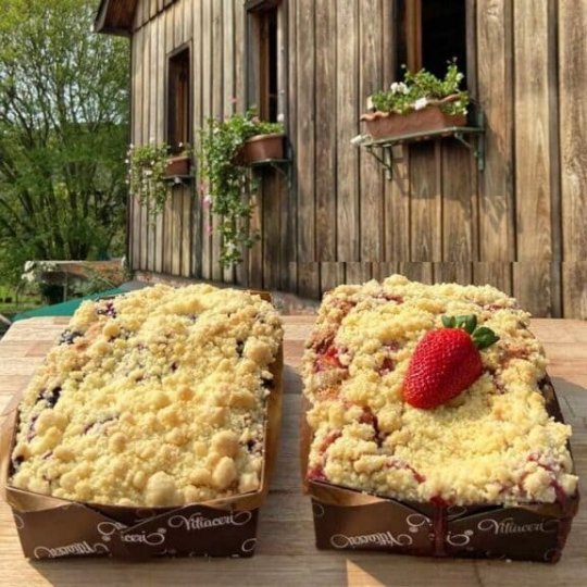 Natal nos Vinhedos - Bus 02 - Foto 11