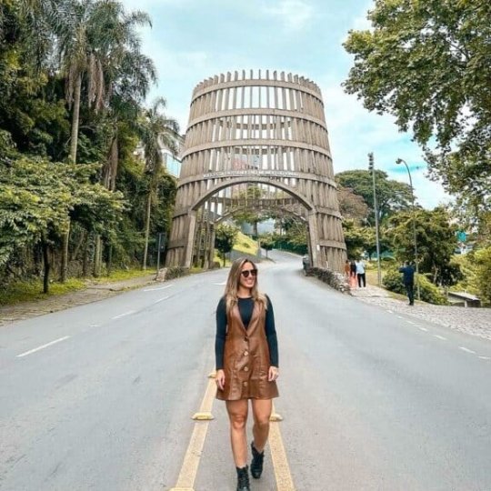 Natal nos Vinhedos - Bus 02 - Foto 12