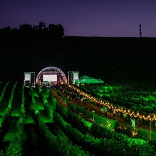 Natal nos Vinhedos - Bus 02 - Foto 14