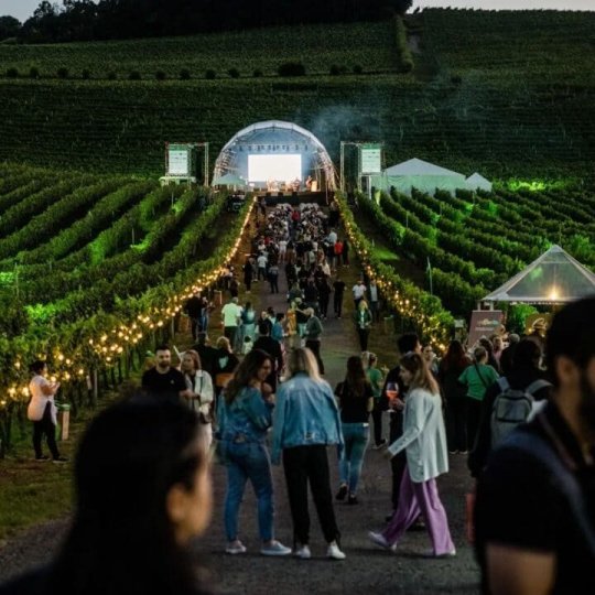 Natal nos Vinhedos - Bus 02 - Foto 17