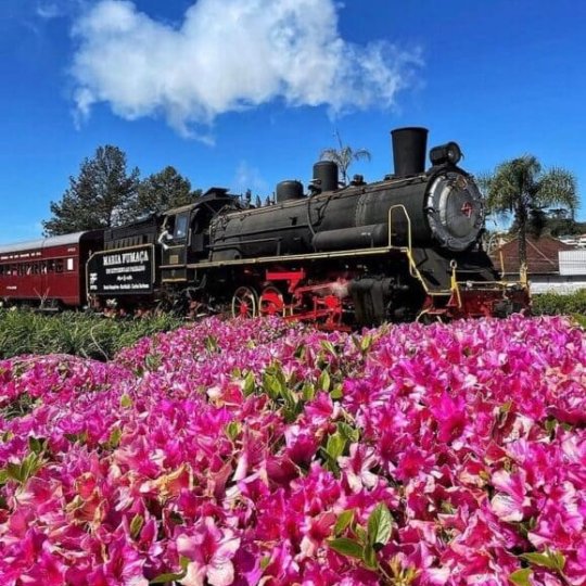 Natal nos Vinhedos - Bus 02 - Foto 5