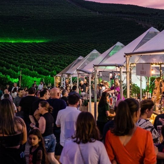 Natal nos Vinhedos - Bus 02 - Foto 7