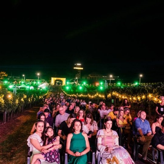 Natal nos Vinhedos - Bus 02 - Foto 9